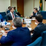 Agora é lei: governo e protetores de animais poderão firmar parcerias