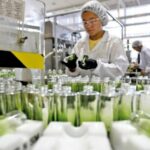 Balança comercial fluminense fechou janeiro com superávit de US$ 1,94 bilhão