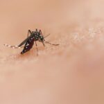 Rio recebe primeiro lote de vacinas contra a dengue