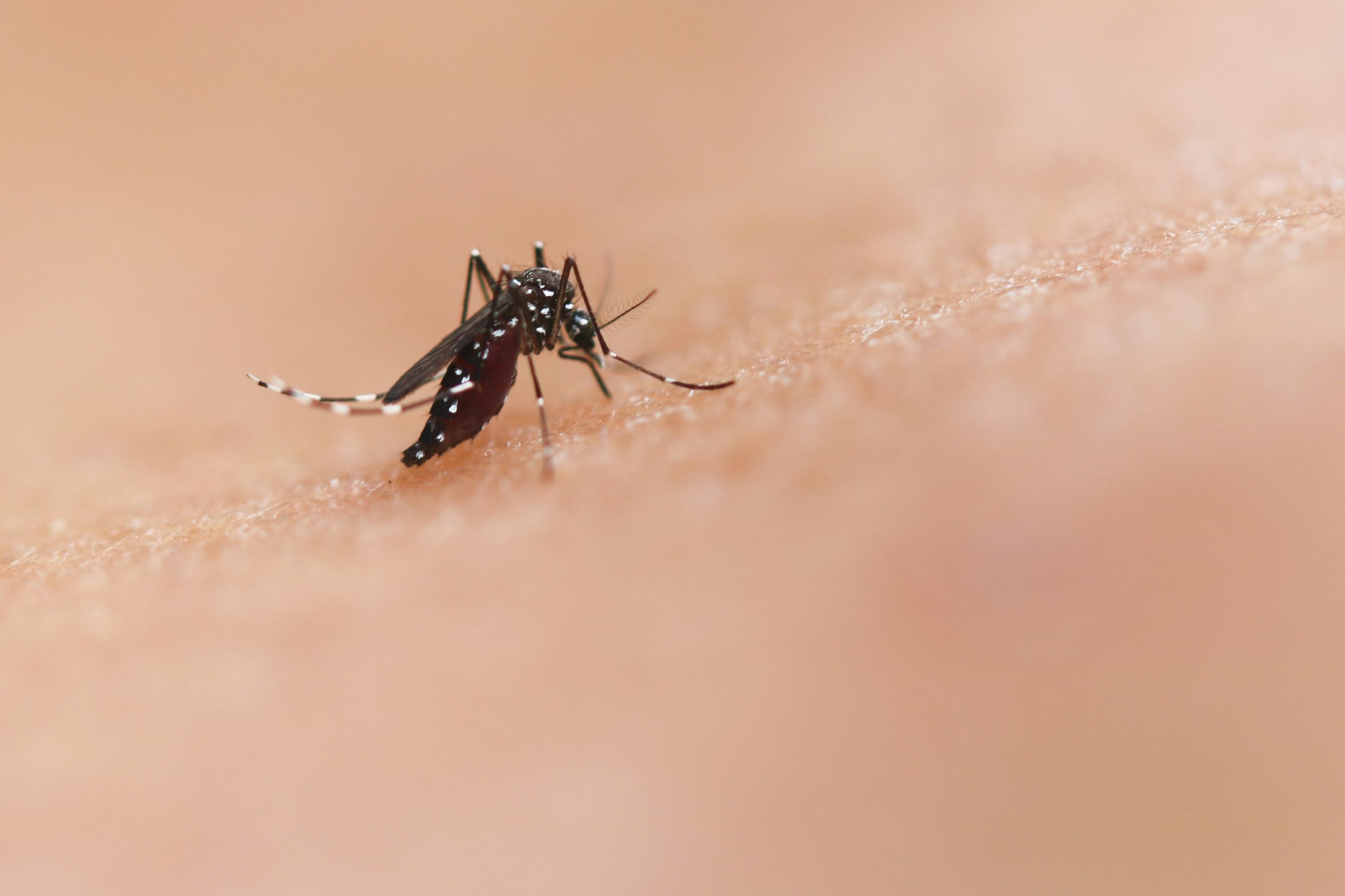 Procon RJ identifica variação superior a 270% em exames de detecção da dengue