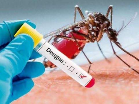 Dengue: boletim aponta que número de casos no Estado é seis vezes maior que o esperado