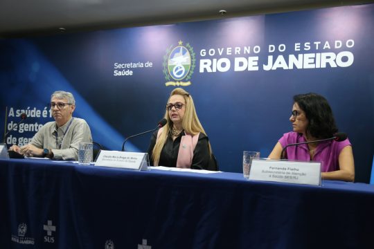 Estado do Rio tem 10 mortes por dengue em 2024