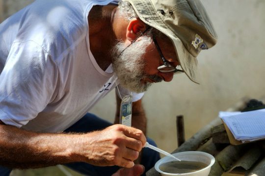 Cidade do Rio registra mais de 2 mil casos de dengue em 24 horas