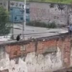 Mulher de empresário morto na Pavuna diz que família estava com mudança pronta para deixar o Rio por conta da violência